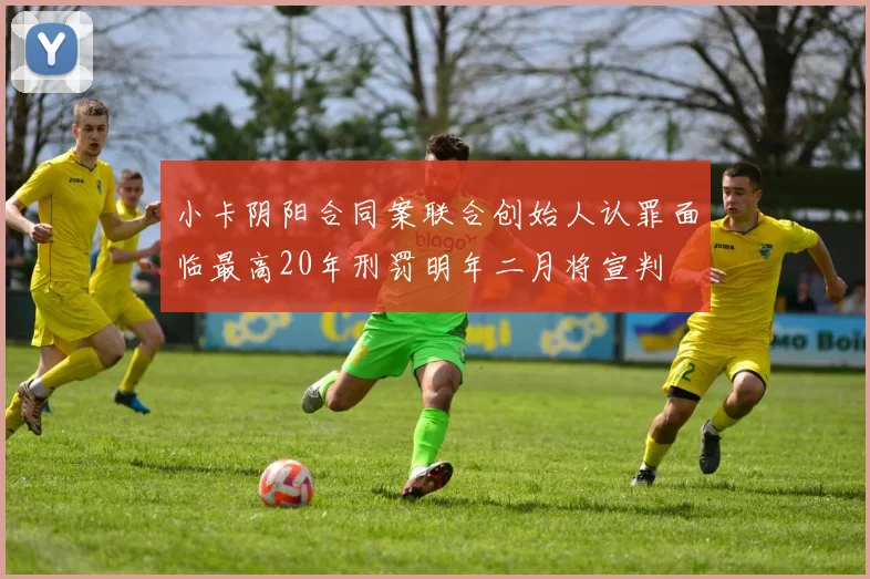 小卡阴阳合同案联合创始人认罪面临最高20年刑罚明年二月将宣判