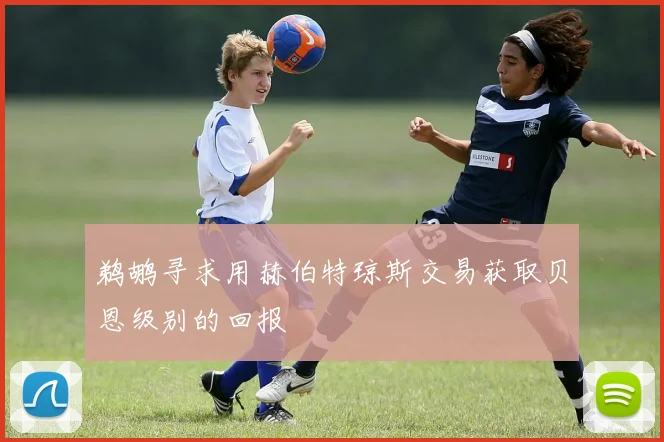 鹈鹕寻求用赫伯特琼斯交易获取贝恩级别的回报
