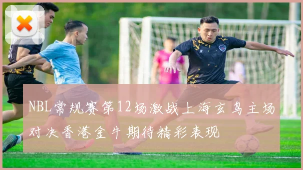 NBL常规赛第12场激战上海玄鸟主场对决香港金牛期待精彩表现