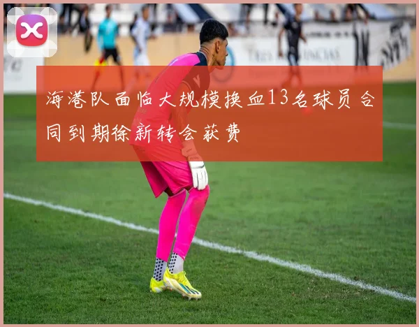 海港队面临大规模换血13名球员合同到期徐新转会获费