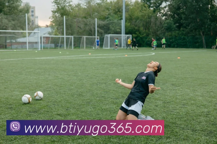 多媒体互动体验